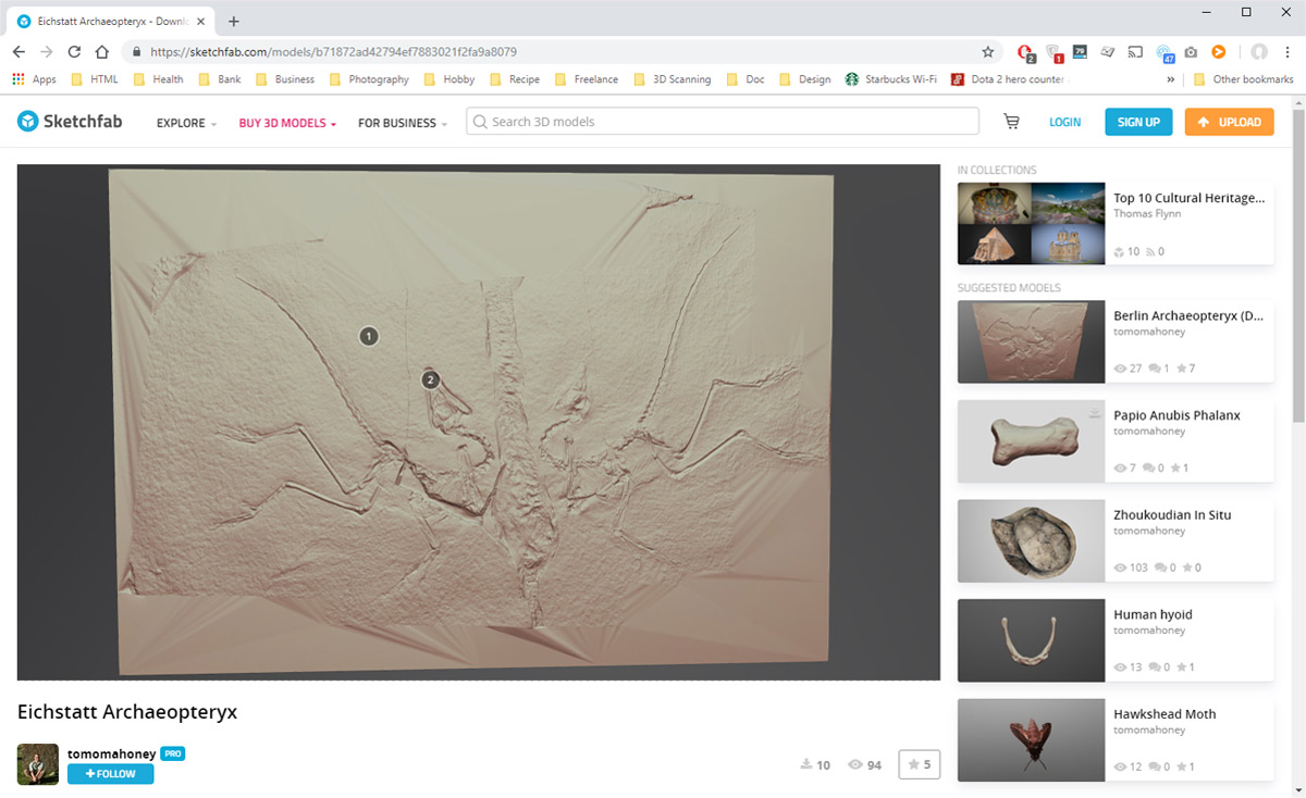 cultural heritage sketchfab screenshot Eichstatt Archaeopteryx