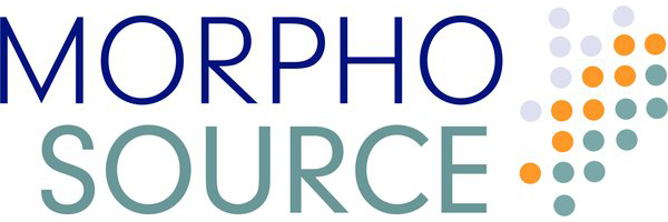 Morphosource logo